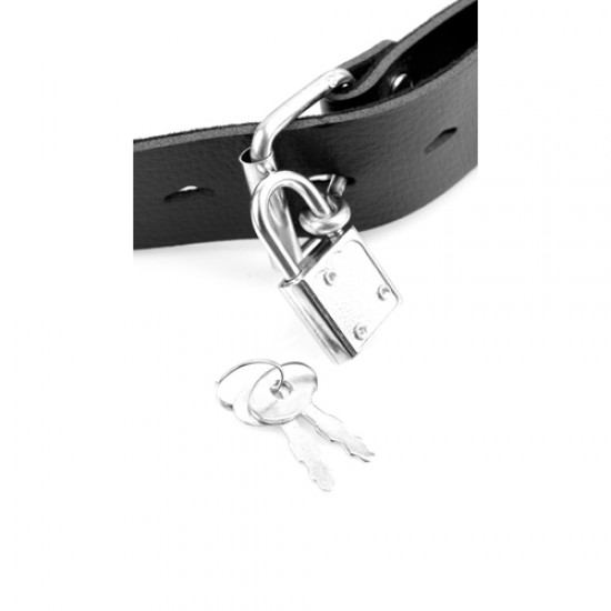 Deluxe Ball Gag with Dildo