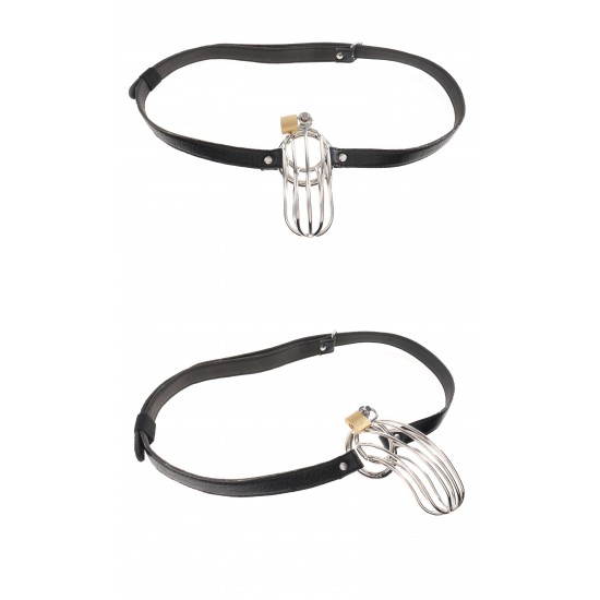 Fetish Fantasy Extreme
The Prisoner