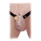 Fetish Fantasy Extreme Extreme Chastity Belt - Black