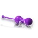 Magic Motion - Smart Kegel Balls