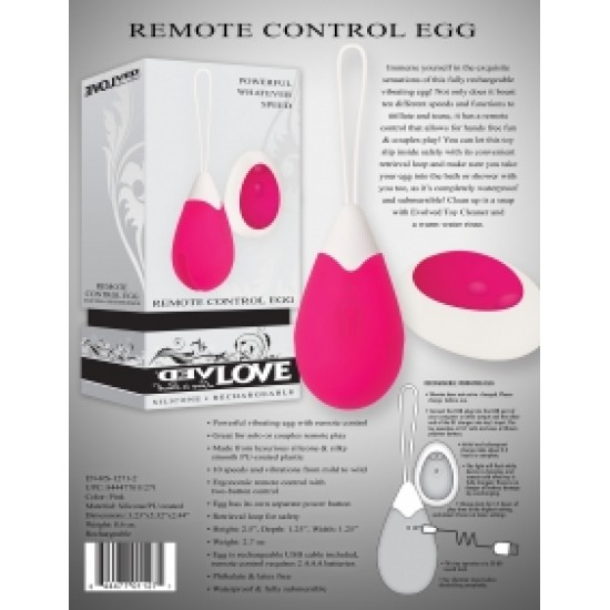 RECHARGEABLE EGG R/C
