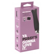 Mini Vibrator + Lubricant + Storage Bag