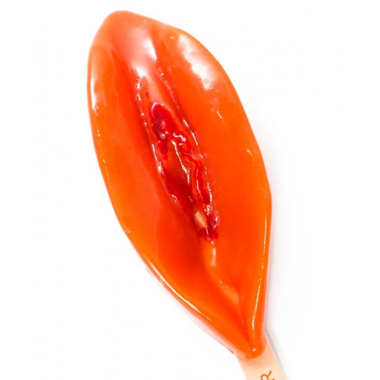 Pussy Lolly by Micaela Schäfer