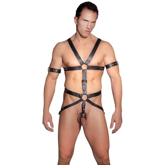Men's Harness
by ZADO