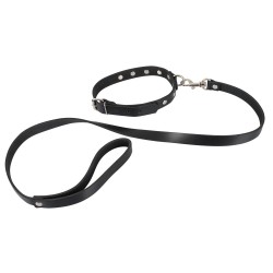 Collar with
Leash