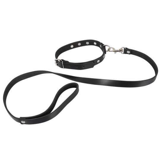 Collar with
Leash