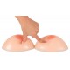 Silicone Breasts
