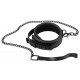 Collar with Leash