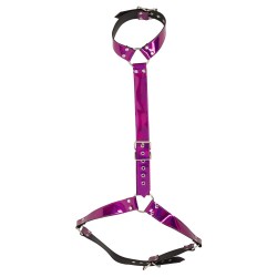 Body Harness