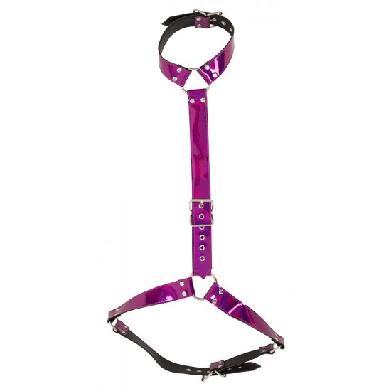 Body Harness
