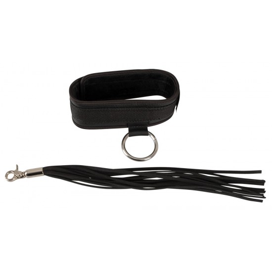Collar and Flogger