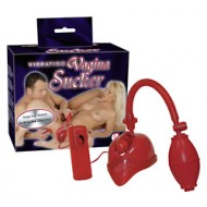 Vibrating Vagina Sucker